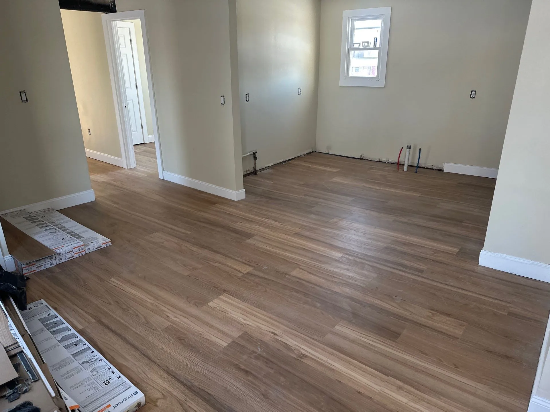 Down Net Http20260301 235 Yrmyyn.jpg